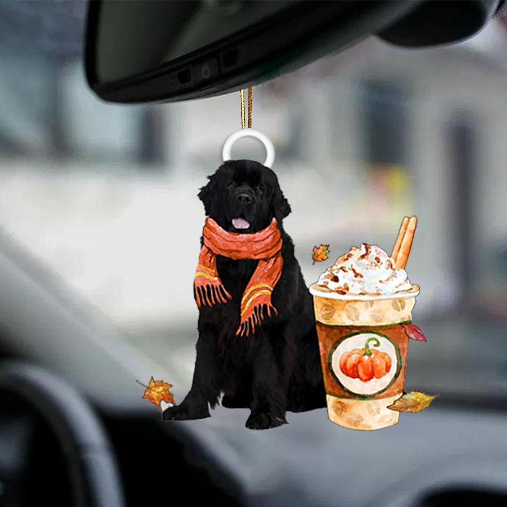 Newfoundland-Pumpkin Spice Kinda-Two Sided Ornament - Best gifts your whole family