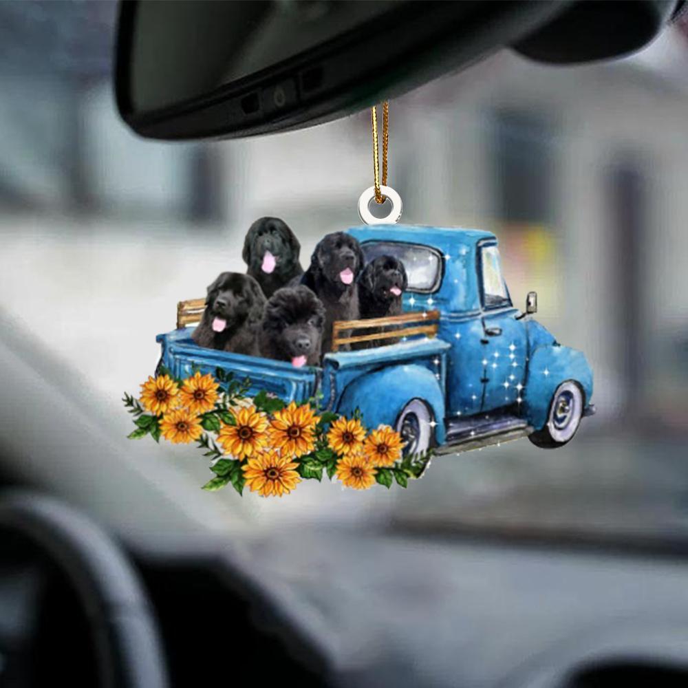 Newfoundland -Take The Trip Classic- Two Sided Ornament - Best gifts your whole family