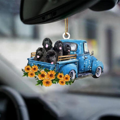 Newfoundland -Take The Trip Classic- Two Sided Ornament - Best gifts your whole family