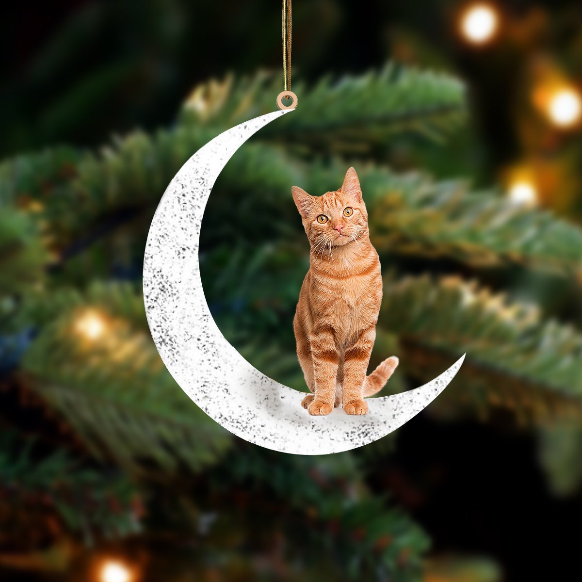 Orange Female Tabby Sit On The Moon Two Sided Ornament Dog Hanging Christmas Ornament - Best gifts your whole family