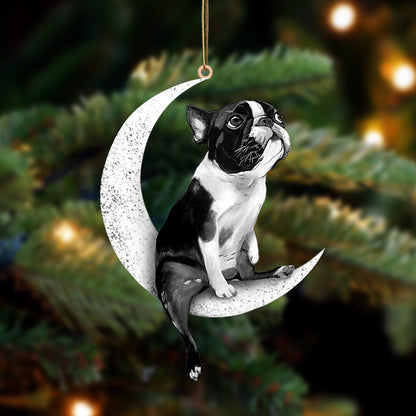 Ornament - Boston Terrier-Sit On The Moon-Two Sided Ornament, Shape Flat Ornament - Best gifts your whole family