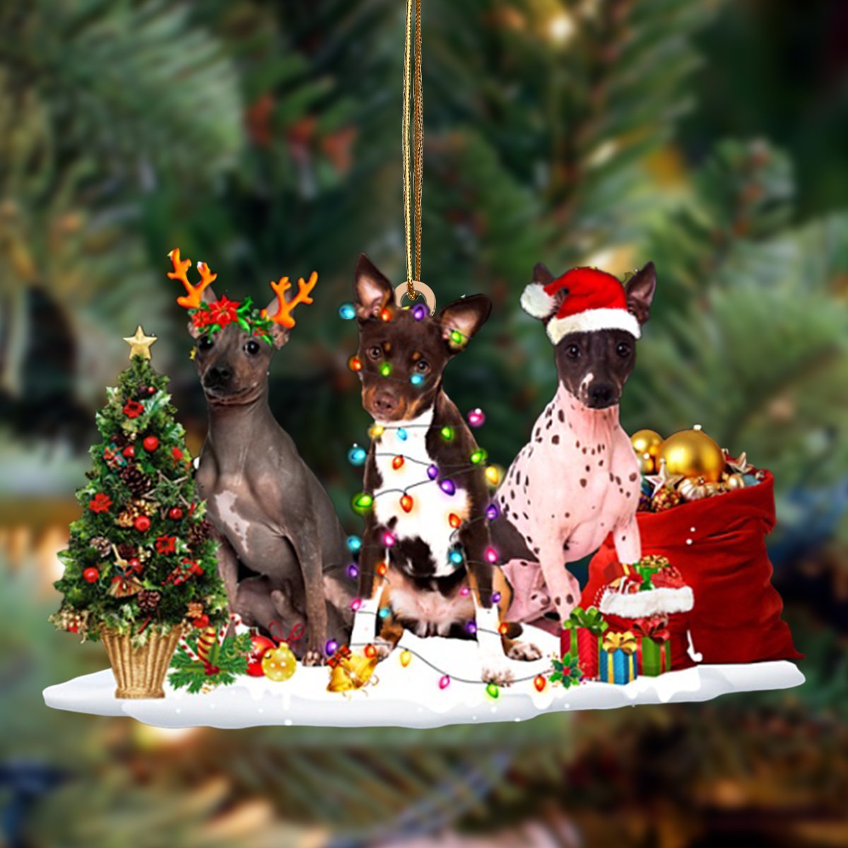 Ornament- American Hairless Terrier-Christmas Dog Friends Hanging Ornament, Christmas Ornament, Car Ornament - Best gifts your whole family
