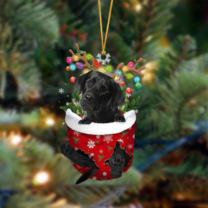 Ornament- BLACK Labrador-In Christmas Pocket Two Sides Ornament, Happy Christmas Ornament, Car Ornament - Best gifts your whole family