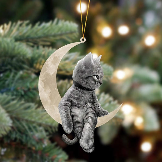 Ornament- Cat Sits On The Moon Hanging Ornament Dog Ornament, Car Ornament, Christmas Ornament - Best gifts your whole family