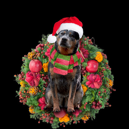 Ornament- Cattle Dog Christmas Ornament, Happy Christmas Ornament, Car Ornament - Best gifts your whole family