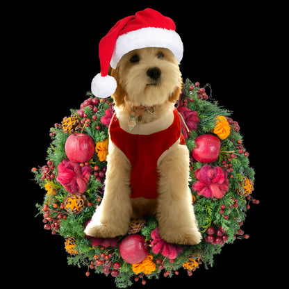 Ornament- Cavadoodle Christmas Ornament, Happy Christmas Ornament, Car Ornament - Best gifts your whole family