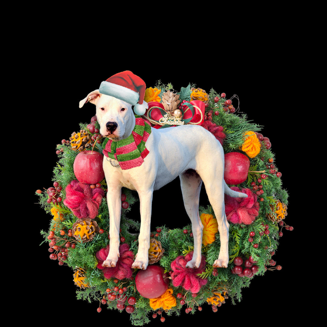 Ornament- Dogo Argentino Christmas Ornament, Happy Christmas Ornament, Car Ornament - Best gifts your whole family