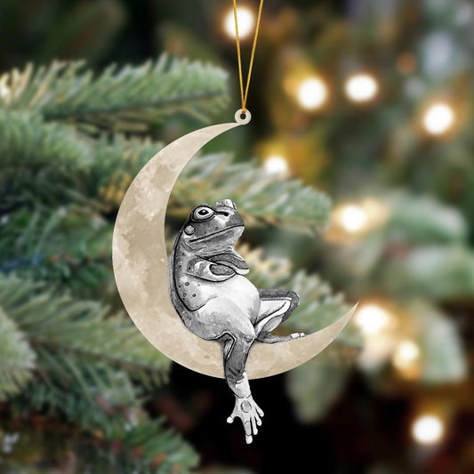 Ornament- Frog Sits On The Moon Hanging Ornament Dog Ornament, Car Ornament, Christmas Ornament - Best gifts your whole family