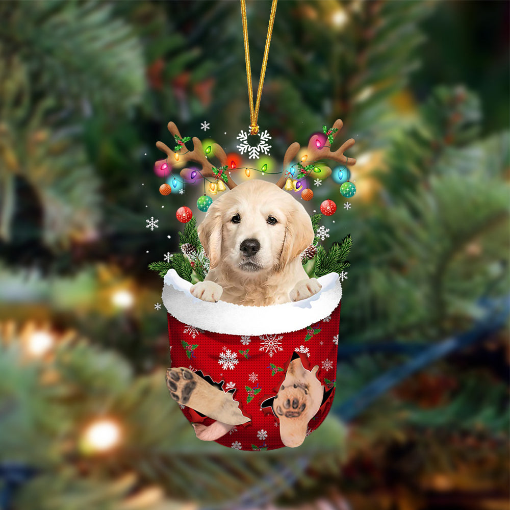 Ornament- Golden Retriever-In Christmas Pocket Two Sides Ornament, Happy Christmas Ornament, Car Ornament - Best gifts your whole family