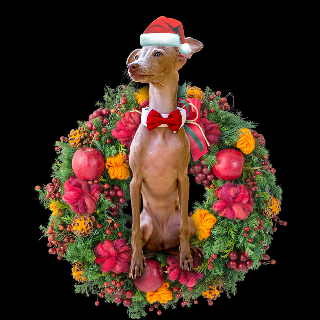 Ornament- Greyhound Christmas Ornament, Happy Christmas Ornament, Car Ornament - Best gifts your whole family