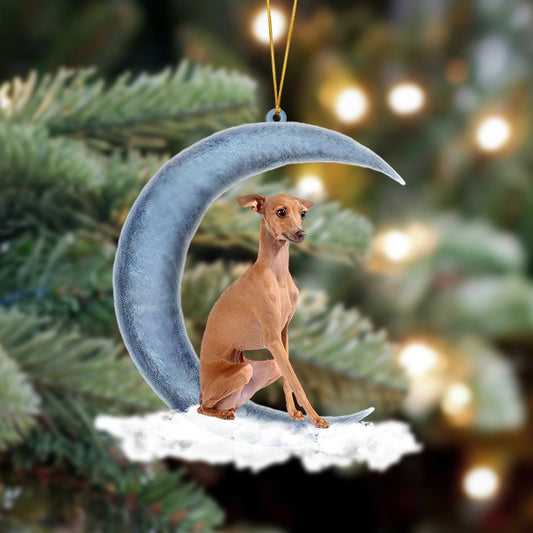 Ornament- Greyhound Sits On The Moon Hanging Ornament Dog Ornament, Car Ornament, Christmas Ornament - Best gifts your whole family