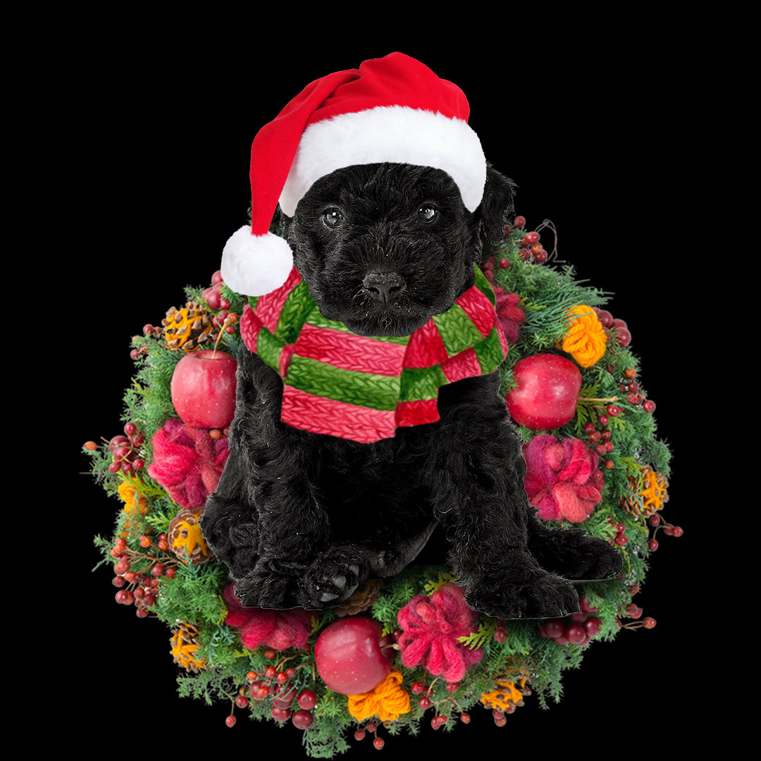 Ornament- Hungarian Puli Christmas Ornament, Happy Christmas Ornament, Car Ornament - Best gifts your whole family