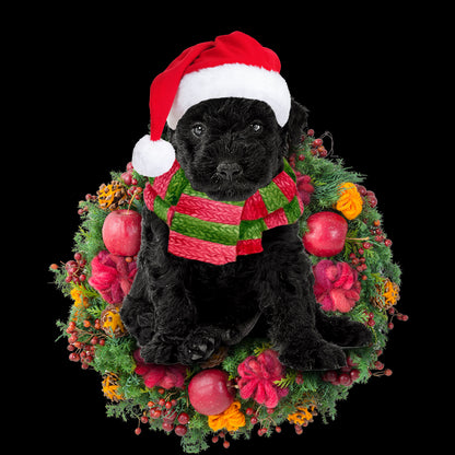 Ornament- Hungarian Puli Christmas Ornament, Happy Christmas Ornament, Car Ornament - Best gifts your whole family