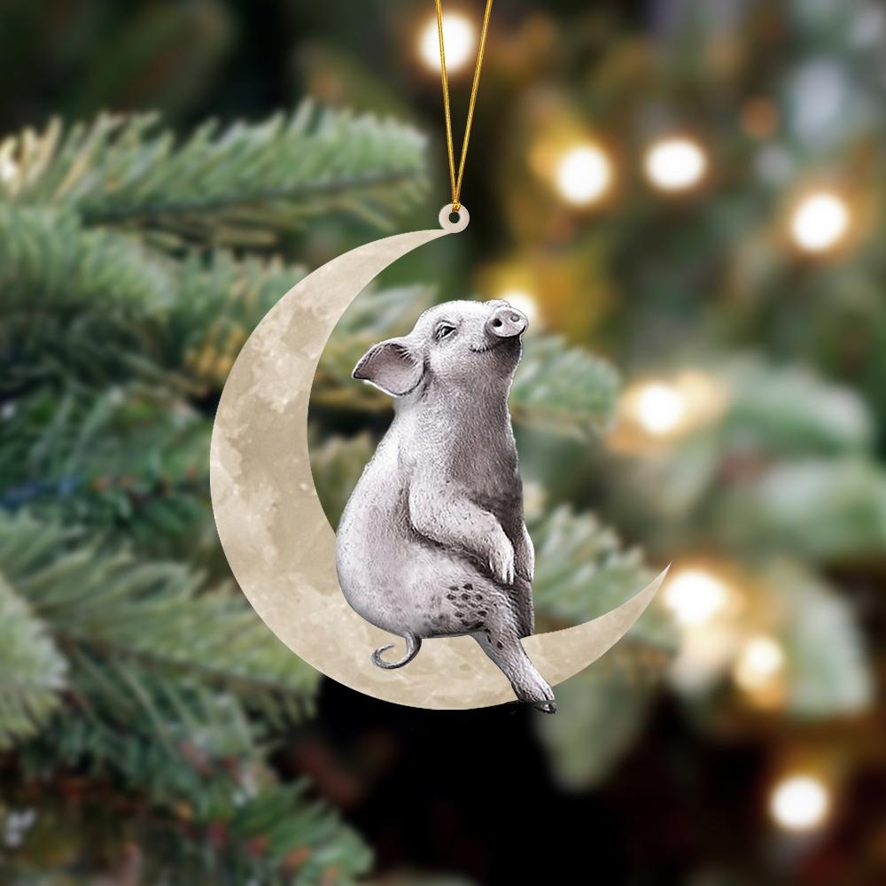 Ornament- Pig Sits On The Moon Hanging Ornament Dog Ornament, Car Ornament, Christmas Ornament - Best gifts your whole family