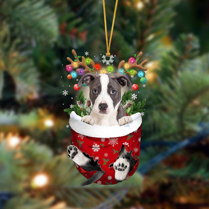 Ornament- Pitbull-In Christmas Pocket Two Sides Ornament, Happy Christmas Ornament, Car Ornament - Best gifts your whole family