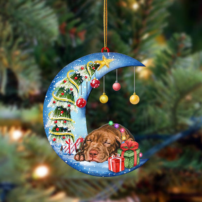 Ornament- Pitbull-Sleep On The Moon Christmas Two Sided Ornament, Happy Christmas Ornament, Car Ornament - Best gifts your whole family