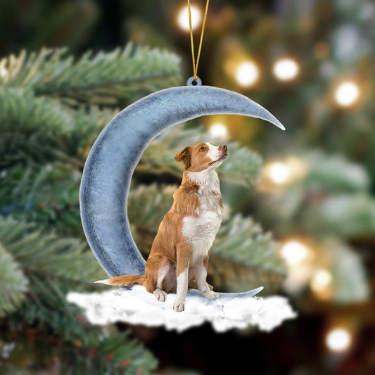 Ornament- Red Border Collie Sits On The Moon Hanging Ornament Dog Ornament, Car Ornament, Christmas Ornament - Best gifts your whole family