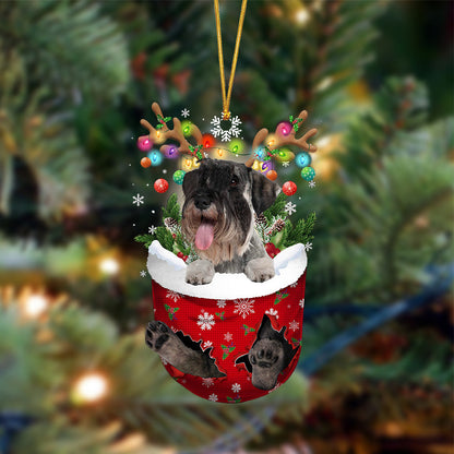 Ornament- Standard Schnauzer-In Christmas Pocket Two Sides Ornament, Happy Christmas Ornament, Car Ornament - Best gifts your whole family