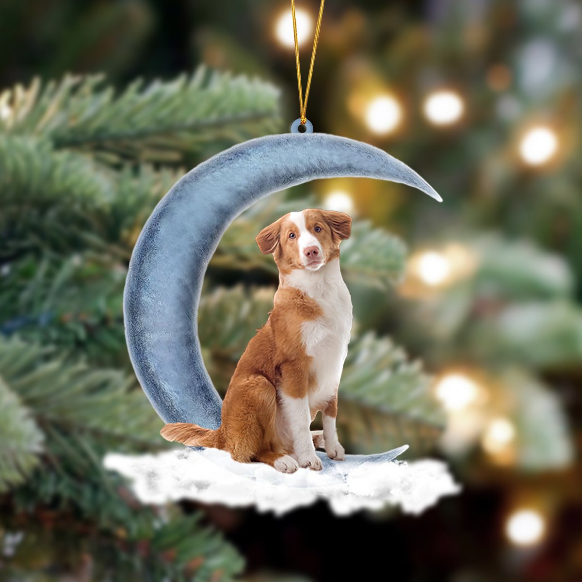 Ornament- Toller Sits On The Moon Hanging Ornament Dog Ornament, Car Ornament, Christmas Ornament - Best gifts your whole family