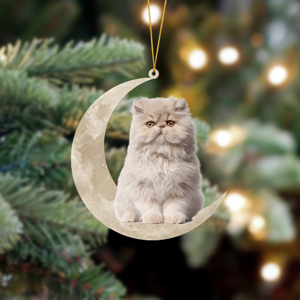 Persian Cat Sits On The Moon Hanging Ornament Cat Christmas Acrylic Ornament - Best gifts your whole family