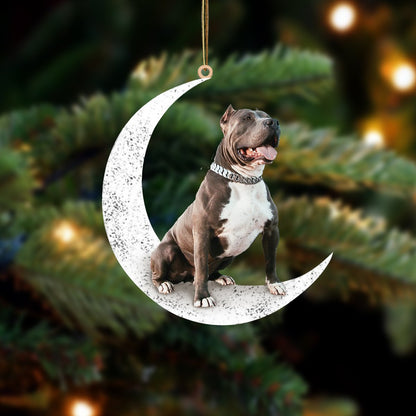 Pitbull 2-Sit On The Moon-Two Sided Ornament - Best gifts your whole family