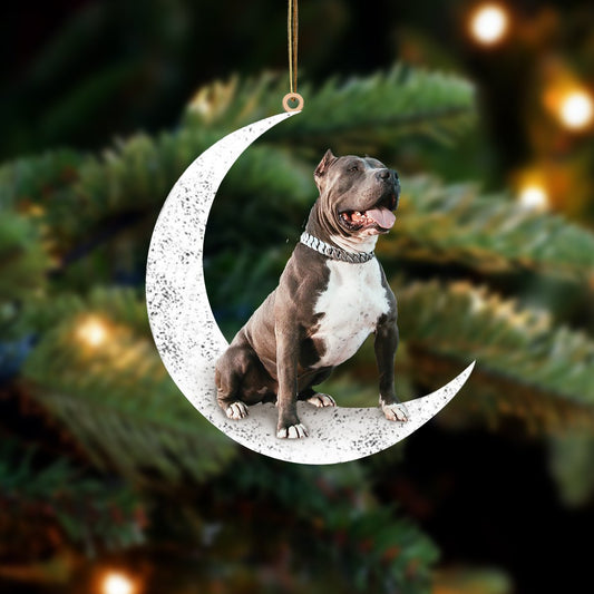 Pitbull 2-Sit On The Moon-Two Sided Ornament - Best gifts your whole family