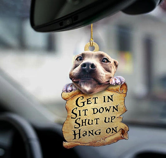 Pitbull Get In Pitbull Lover Two Sided Ornament - Best gifts your whole family