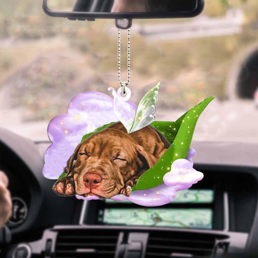 Pitbull-Sleep On Fallen Leaves-Two Sided Ornament - Best gifts your whole family