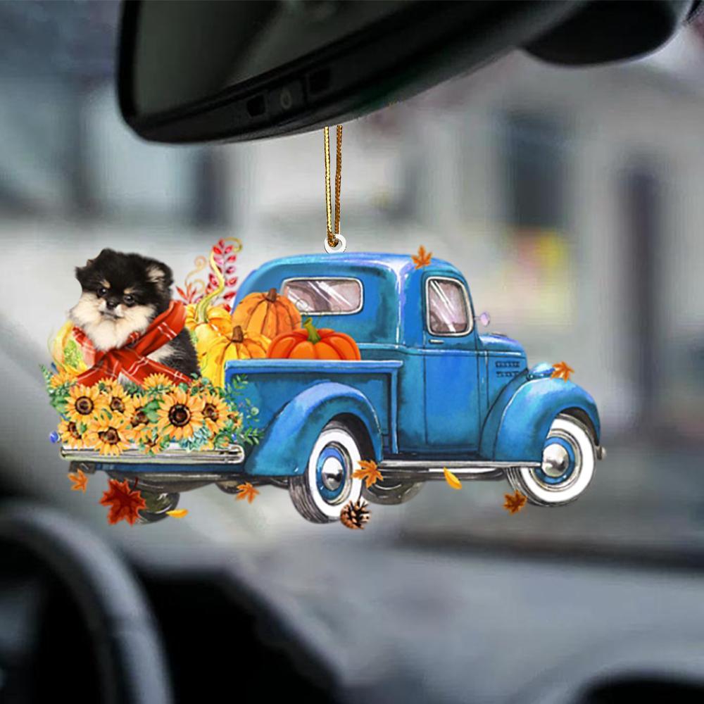 Pomeranian 1-Little Pumpkin-Two Sided Ornament - Best gifts your whole family