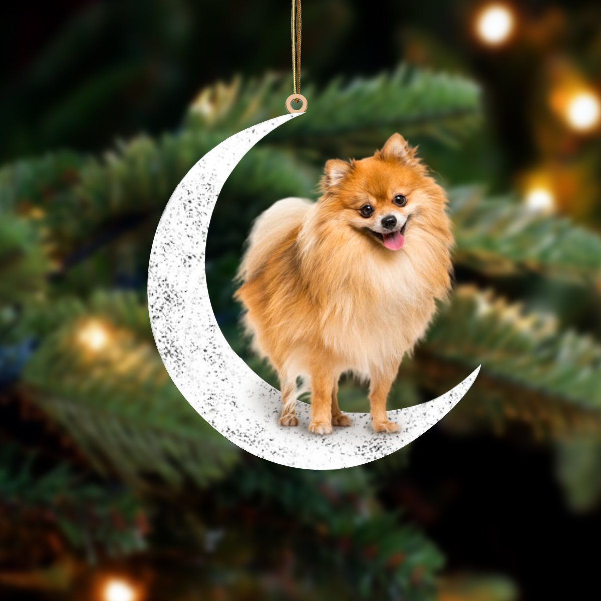 Pomeranian 2-Sit On The Moon-Two Sided Ornament - Best gifts your whole family
