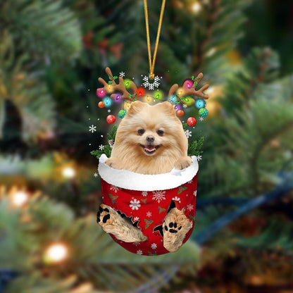 Pomeranian-In Christmas Pocket Two Sides Ornament, Christmas Dog Hanging Ornament - Best gifts your whole family