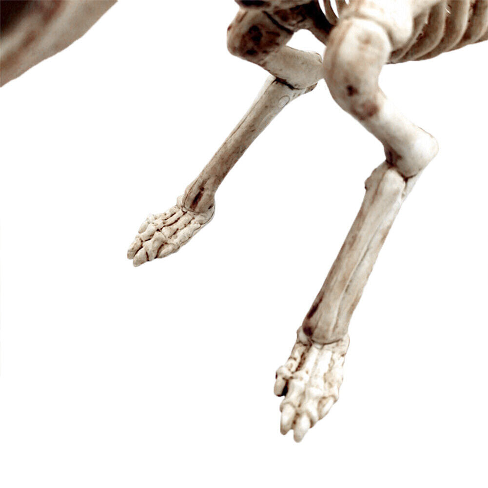 Halloween Skeleton Cat Dog Mouse Bat Prop Animal Bones Party Horror Decoration