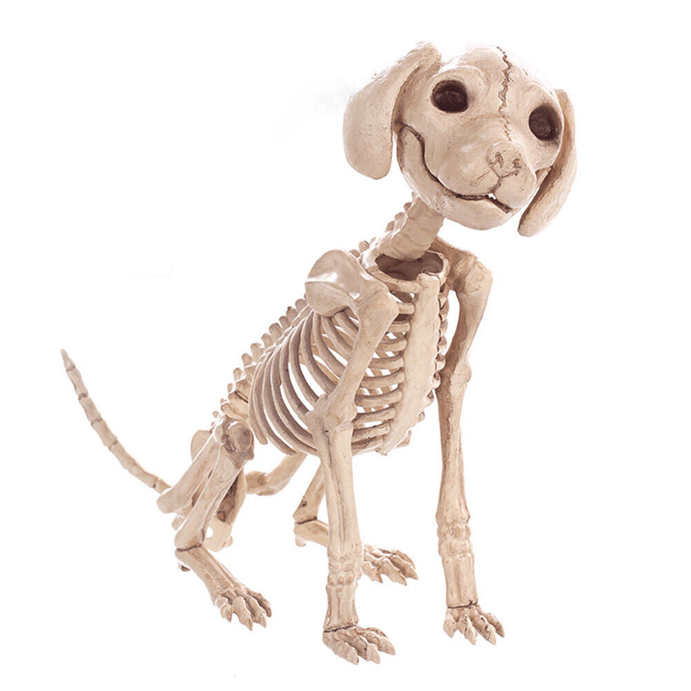 Halloween Skeleton Cat Dog Mouse Bat Prop Animal Bones Party Horror Decoration