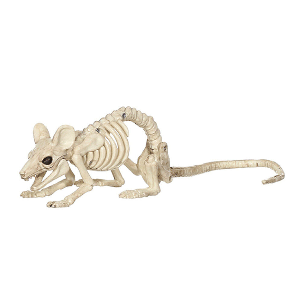 Halloween Skeleton Cat Dog Mouse Bat Prop Animal Bones Party Horror Decoration