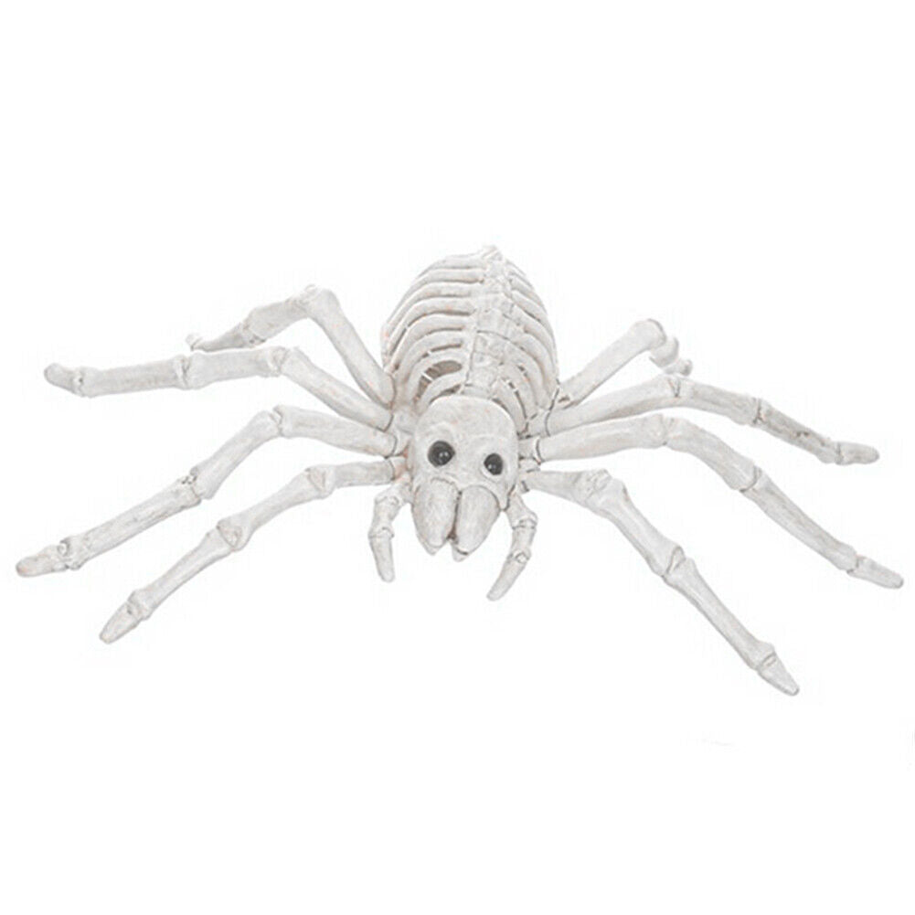 Halloween Skeleton Cat Dog Mouse Bat Prop Animal Bones Party Horror Decoration