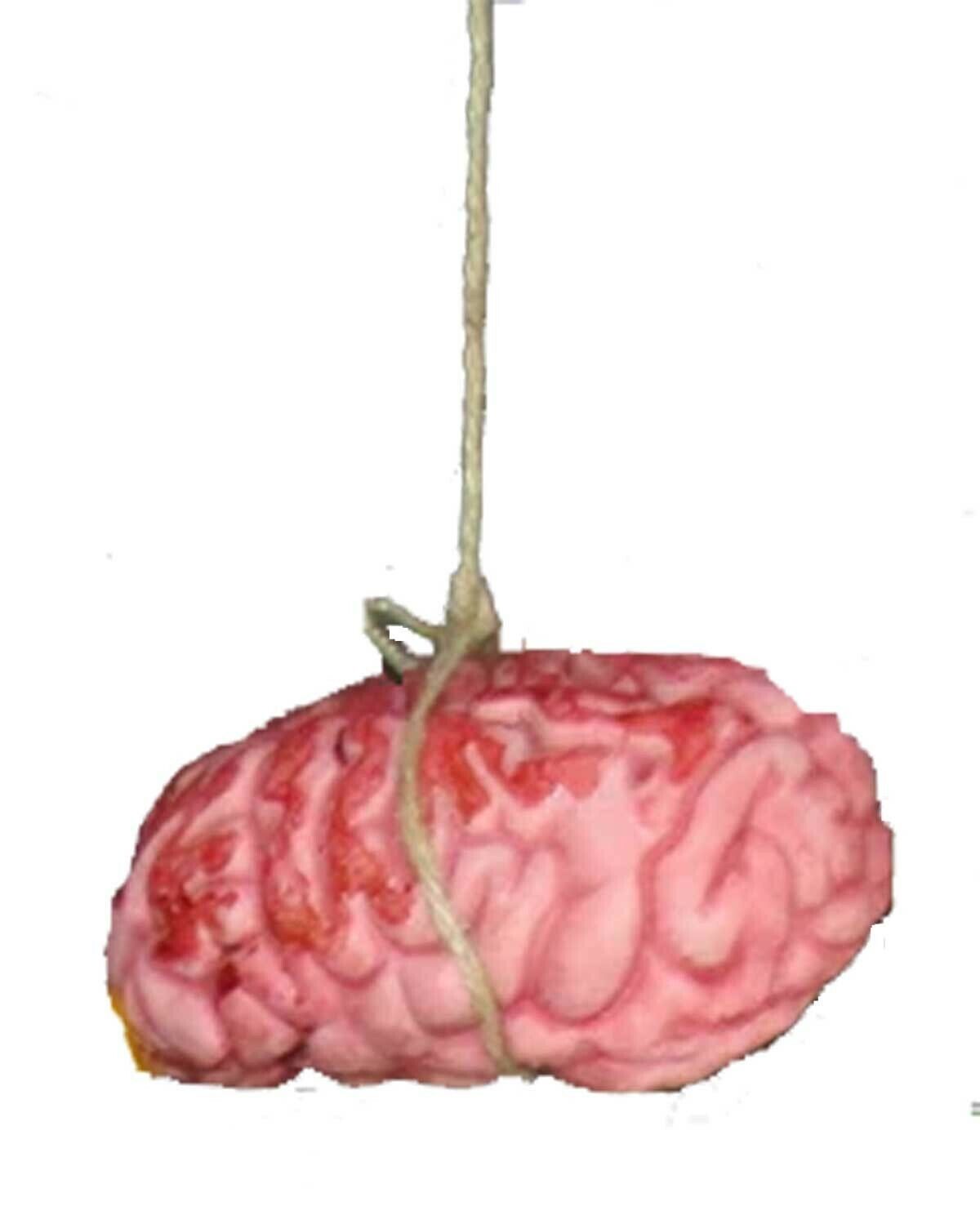LifeSize Fake Zombie BLOODY BRAIN BUTCHER TRAY Human Organ Halloween Horror Prop