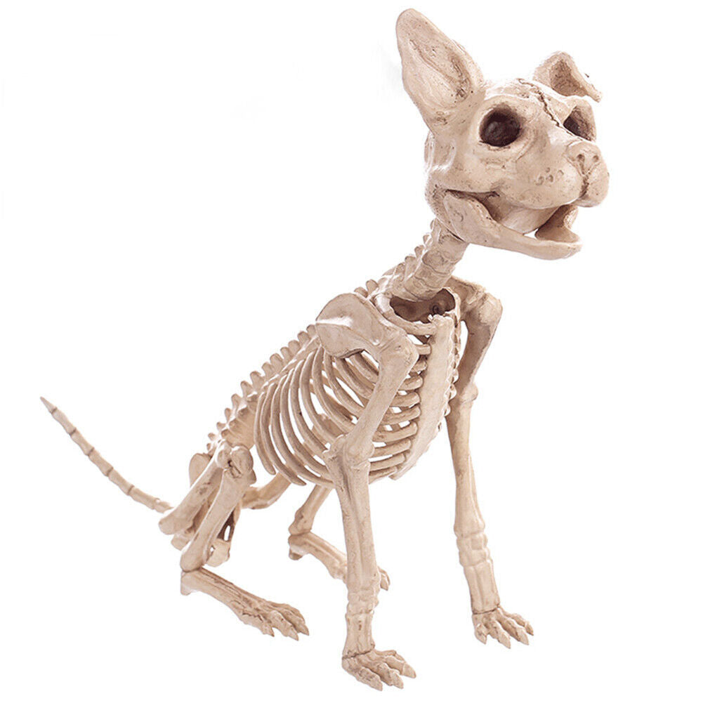 Halloween Skeleton Cat Dog Mouse Bat Prop Animal Bones Party Horror Decoration