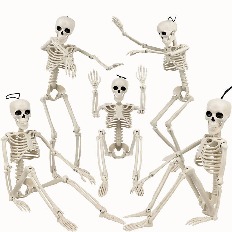 Halloween Human Skeleton Oversized Poseable Decoration Party Prop 40*12cm
