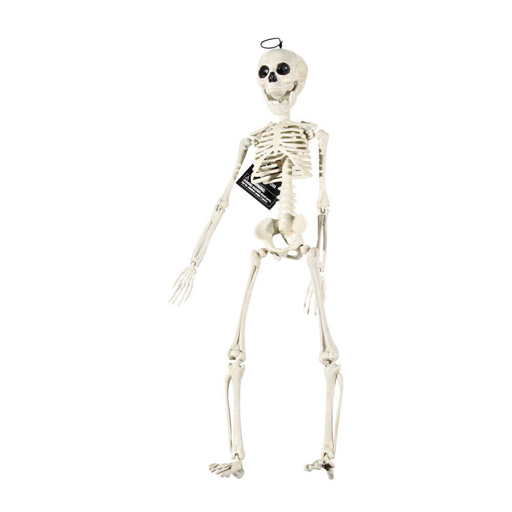 Halloween Decorations Hanging 20-Inch Skeleton Indoor/Outdoor Life-sized Prop