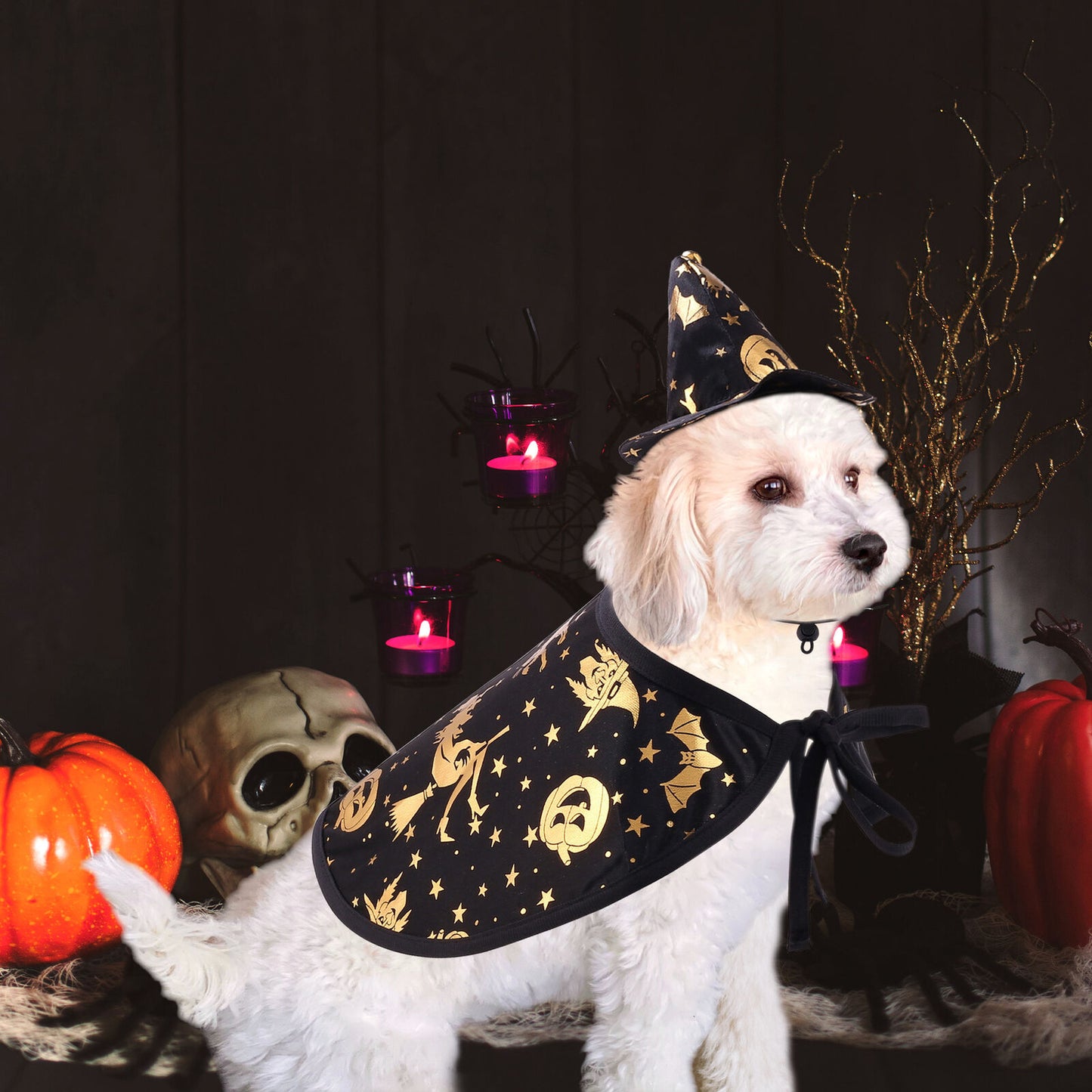 Halloween Witch Wizard Cosplay Dog Cat Costume Fancy Party Pet Cloak With Hat