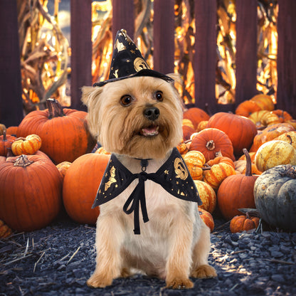 Halloween Witch Wizard Cosplay Dog Cat Costume Fancy Party Pet Cloak With Hat