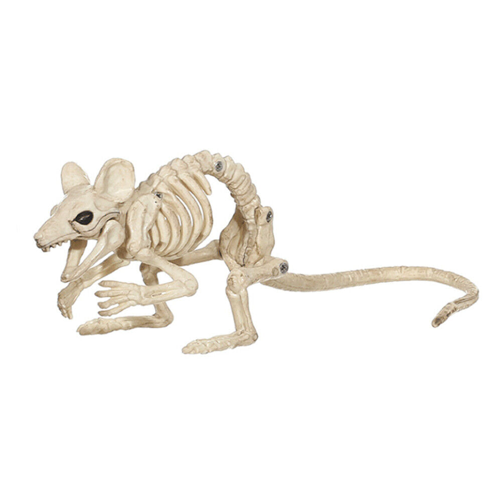 Halloween Skeleton Cat Dog Mouse Bat Prop Animal Bones Party Horror Decoration
