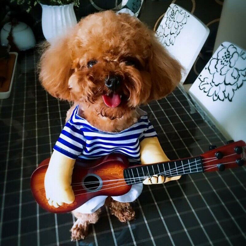 Funny Pet Cosplay Clothes Guitarist Player Suit Dog Puppy Cat Costume Halloween