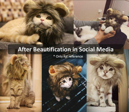 Pet Costume Lion Mane Wig for Cat Dog Halloween Christmas Party Fancy Dress up