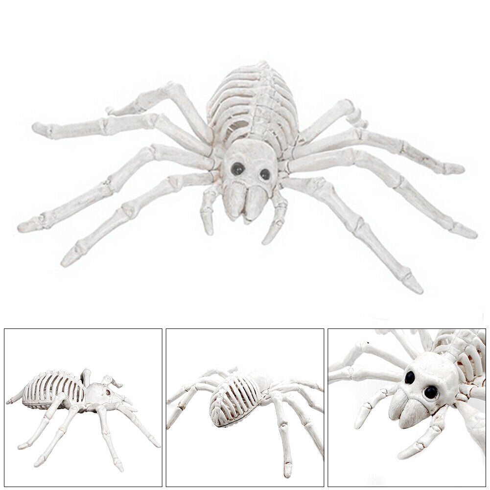 Halloween Skeleton Cat Dog Mouse Bat Prop Animal Bones Party Horror Decoration