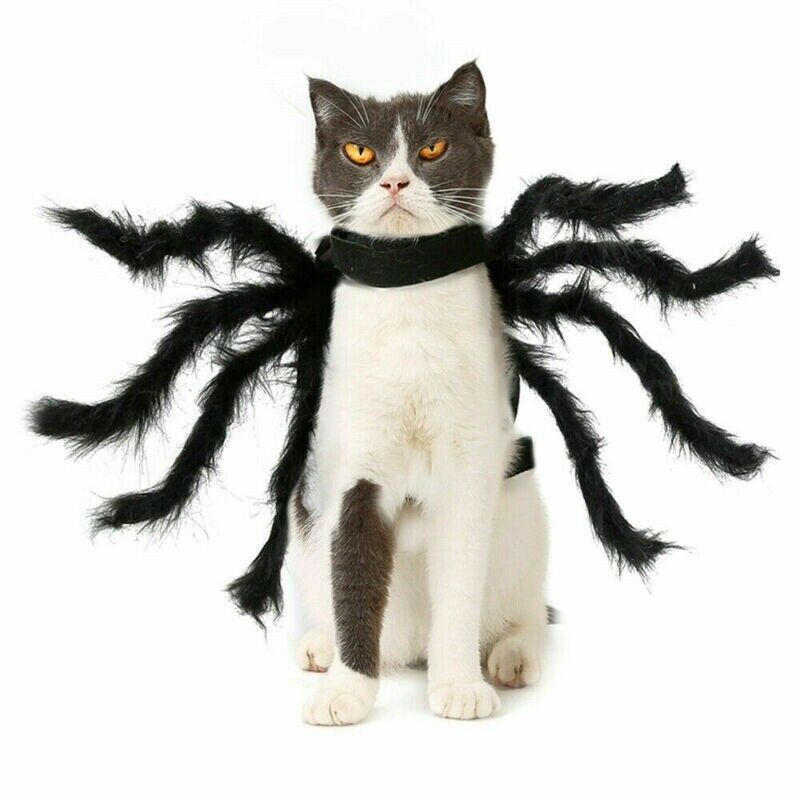 Halloween Pet Black Spider Costume Dog Cat Puppy Spider Cosplay Clothes Outfit