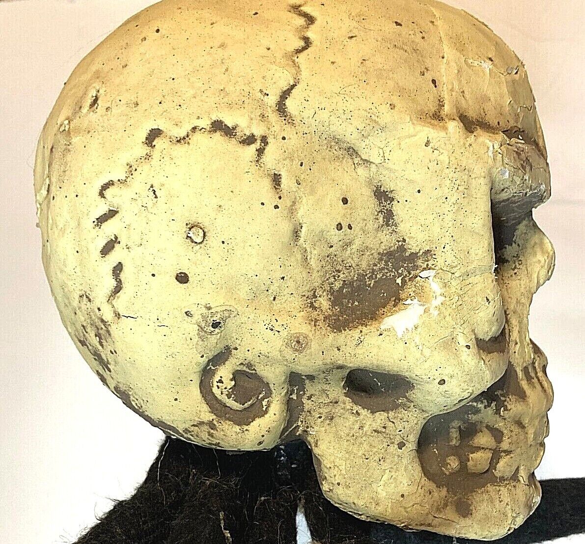 Beistle Spider Skeleton Creepy Creature Halloween Decoration Eyes light Up