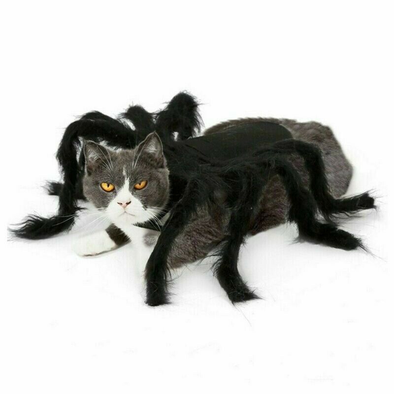 Halloween Pet Black Spider Costume Dog Cat Puppy Spider Cosplay Clothes Outfit
