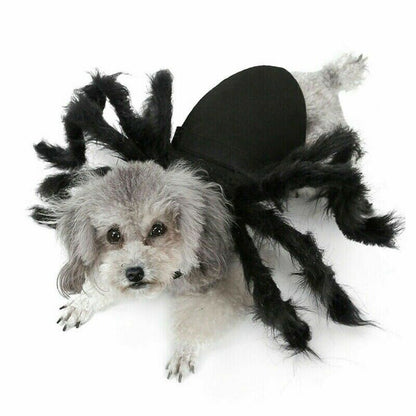 Halloween Pet Black Spider Costume Dog Cat Puppy Spider Cosplay Clothes Outfit