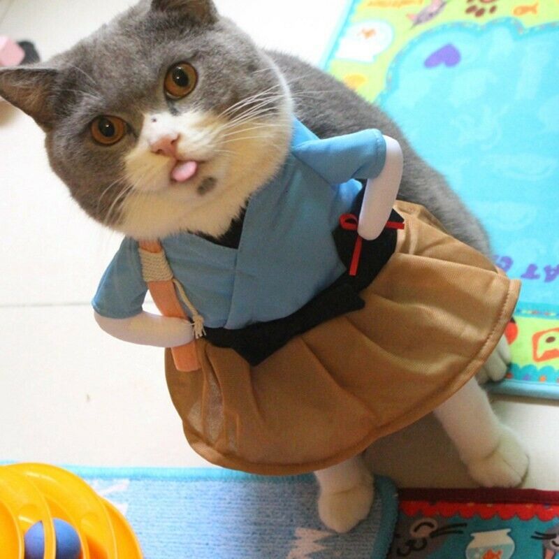 Madraí Cat éadaí Peataí Greannmhar Samurai Páirtí Cosplay Éadaí Féile Fancy Madraí NUA 